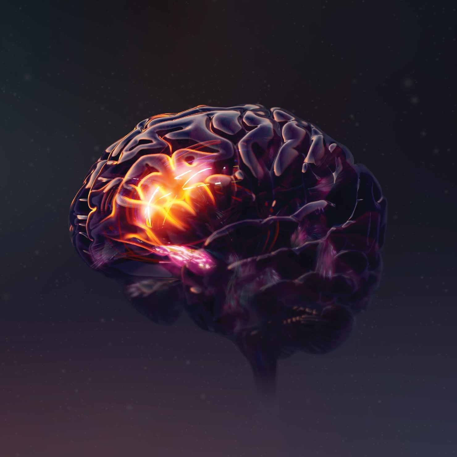 The Quest for Sleep Logo over brain image